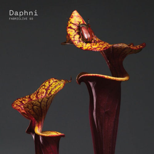 Daphni - Fabriclive 93 daphni (CD) - Discords.nl