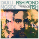 Darlingside - Fish pond fish (CD) - Discords.nl