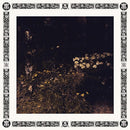 Sarah Davachi - Pale bloom (LP) - Discords.nl