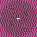 Deerhunter - Cryptograms/flourescent (LP) - Discords.nl