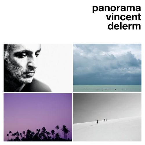 Vincent Delerm - Panorama (CD) - Discords.nl