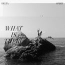 Delta Spirit - What is there (LP) - Discords.nl