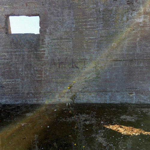 Desperate Journalist - In search of the miraculous (LP) - Discords.nl