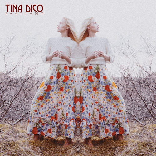 Tina Dico - Fastland (LP) - Discords.nl
