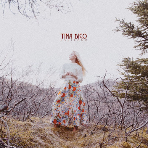 Tina Dico - Fastland (CD) - Discords.nl