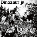 Dinosaur Jr. - Dinosaur jr. (LP) - Discords.nl
