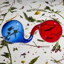 Dirty Projectors - Lamp lit prose (CD) - Discords.nl