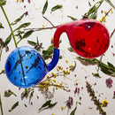 Dirty Projectors - Lamp lit prose (LP) - Discords.nl