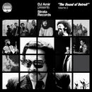 Dj Amir - Strata records - the sound of detroit vol. 2 (LP) - Discords.nl