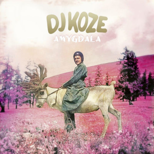 Dj Koze - Amygdala (LP) - Discords.nl