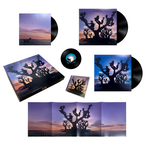 Dj Koze - Knock knock (LP) - Discords.nl