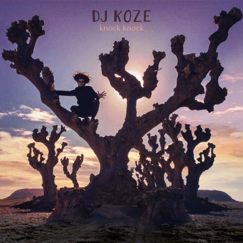 Dj Koze - Knock knock (LP) - Discords.nl