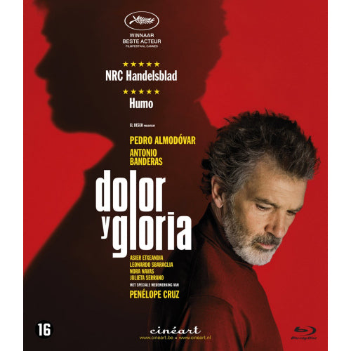 Movie - Dolor y gloria (DVD / Blu-Ray)