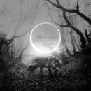 Downfall Of Gaia - Atrophy (LP) - Discords.nl