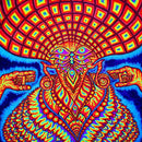 The Dream Syndicate - Universe inside (CD) - Discords.nl