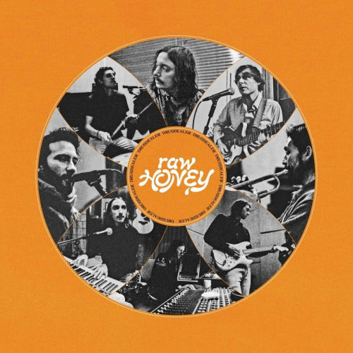Drugdealer - Raw honey (LP) - Discords.nl