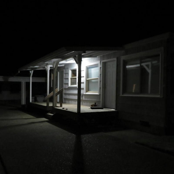 Damien Jurado - Birds tricked into the trees (7-inch single) - Discords.nl