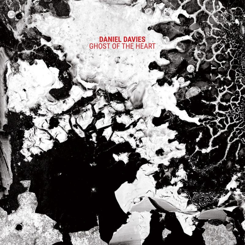 Daniel Davies - Ghost of the heart (CD) - Discords.nl