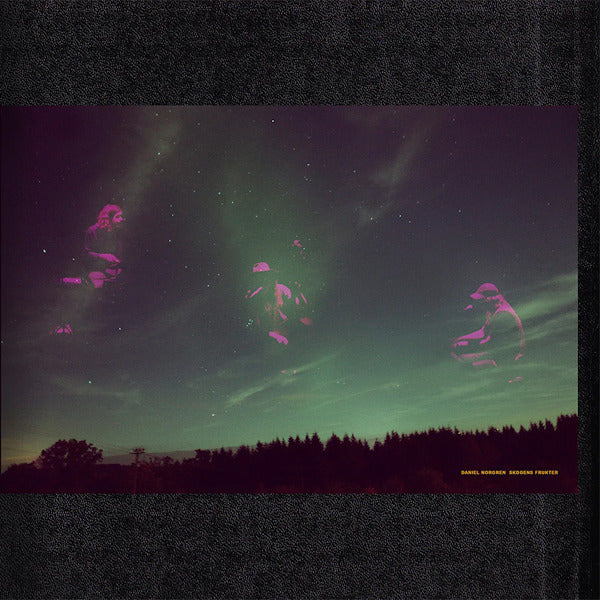 Daniel Norgren - Skogens frukter (LP) - Discords.nl