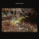 Daniel Norgren - The green stone (LP) - Discords.nl