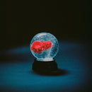 Darkside - Nothing (CD)