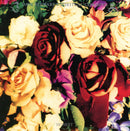 Dave Stewart And The Spiritual Cowboys - Honest (CD) - Discords.nl