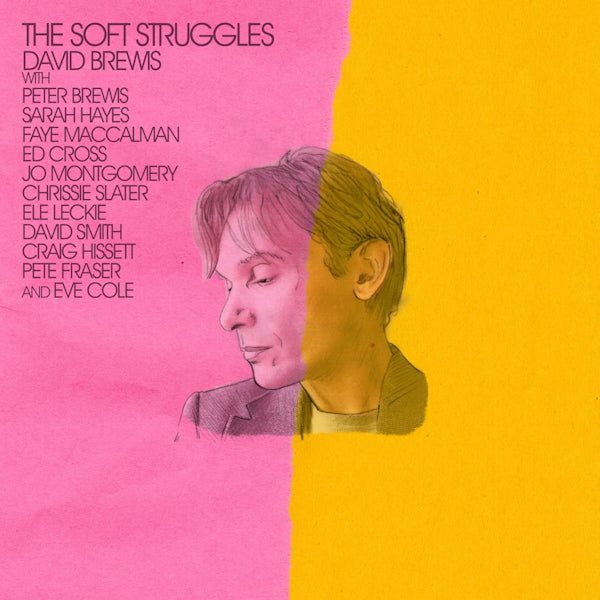 David Brewis - Soft struggles (CD) - Discords.nl