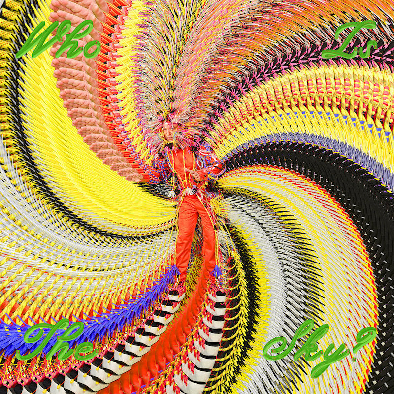 David Byrne - Who is the sky? (LP) - Discords.nl