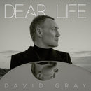 David Gray - Dear life (seaweed green) (LP) - Discords.nl