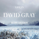 David Gray - Life In Slow Motion (LP)