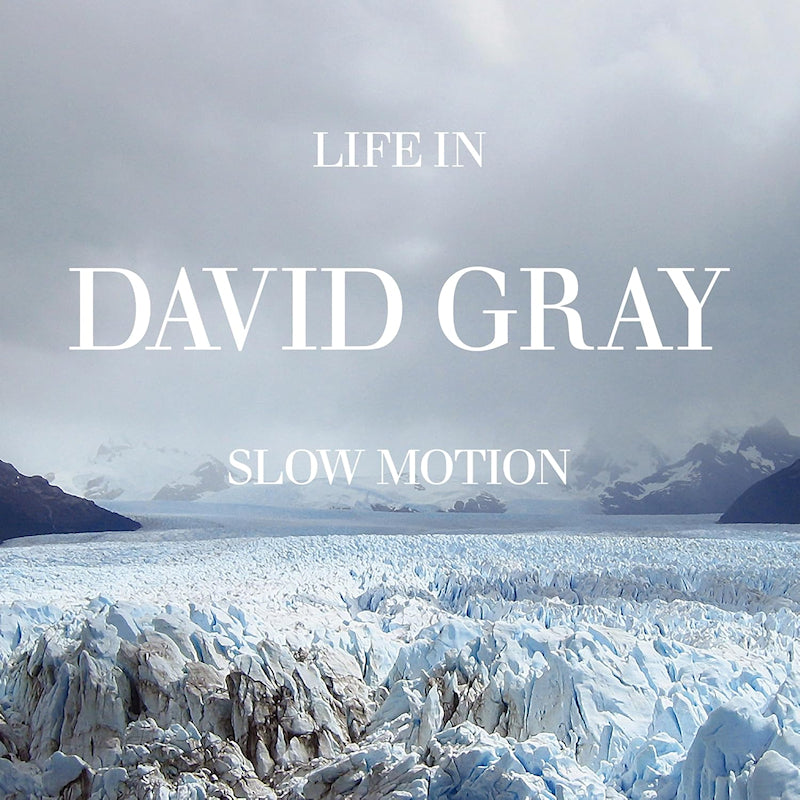 David Gray - Life In Slow Motion (LP)