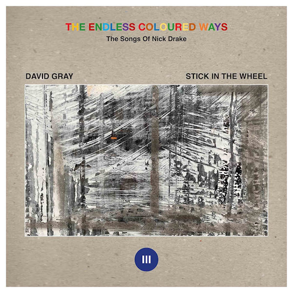 David Gray / Stick In The Wheel - Tthe endless coloured ways (12-inch) - Discords.nl