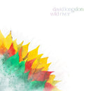 David Longdon - Wild river (CD) - Discords.nl