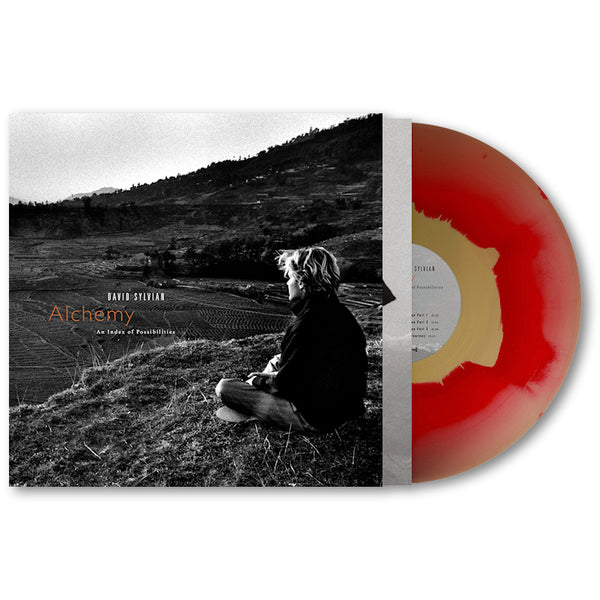 David Sylvian & Jon Hassell - Alchemy an index of possibilities (LP)