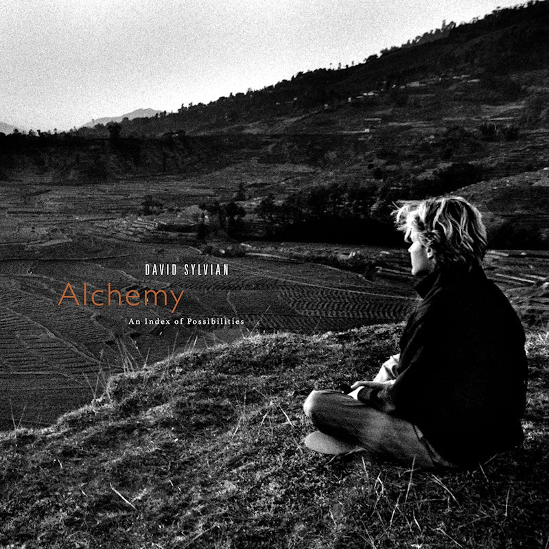 David Sylvian & Jon Hassell - Alchemy an index of possibilities (LP)