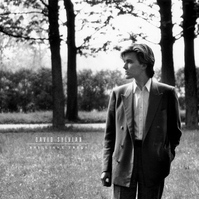 David Sylvian - Brilliant trees (LP)