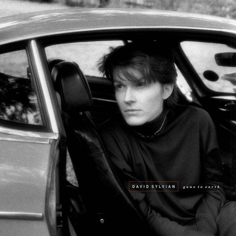 David Sylvian - Gone to earth (LP)