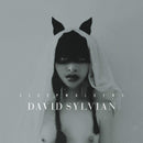 David Sylvian - Sleepwalkers (CD)