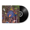 Dawes - Good Luck With Whatever (LP) - Discords.nl