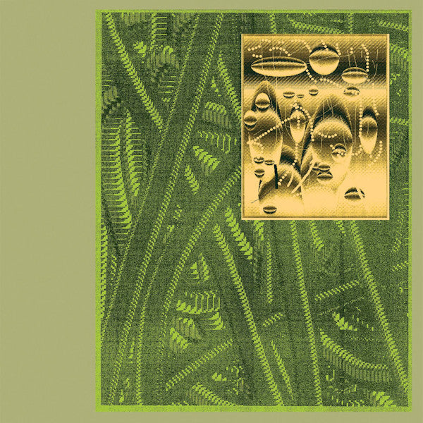 De Beren Gieren - Less is endless (CD) - Discords.nl