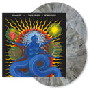 Dewolff - Love, Death & In Between (LP) - Discords.nl