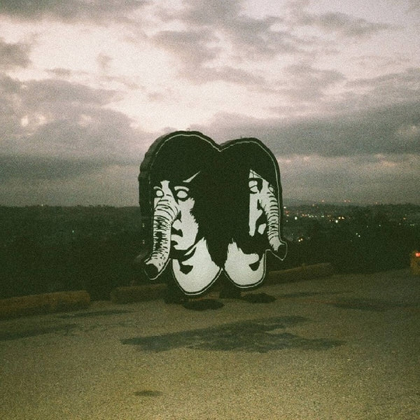 Death From Above 1979 - Physical world (LP) - Discords.nl