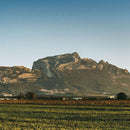 Deena Abdelwahed - Jbal rrsas (CD) - Discords.nl