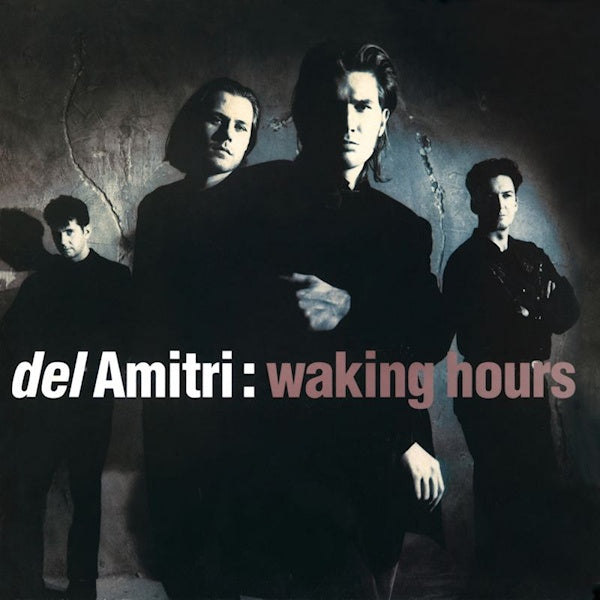 Del Amitri - Waking hours (CD) - Discords.nl