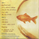 Counting Crows - This Desert Life (CD Tweedehands)