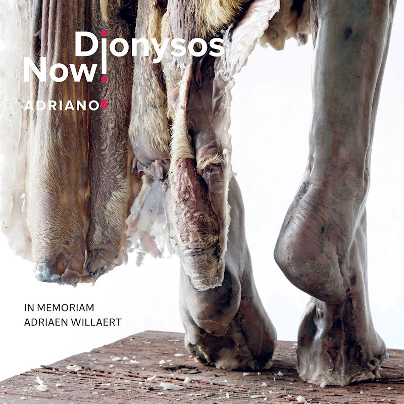 Dionysos Now! - Adriano 5 (CD) - Discords.nl