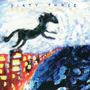 Dirty Three - Horse stories (LP) - Discords.nl
