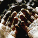 Dis Fig - What to make of these mortal hands (CD)