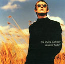 The Divine Comedy - A secret history (CD)