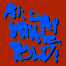 Porches - All day gentle hold! (LP) - Discords.nl